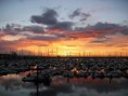 /album/fotogalerie-dun-laoghaire/dl8-jpg/